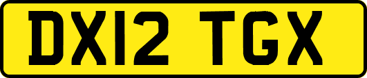 DX12TGX