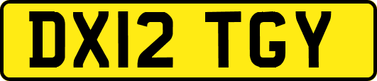 DX12TGY
