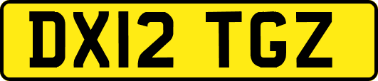 DX12TGZ
