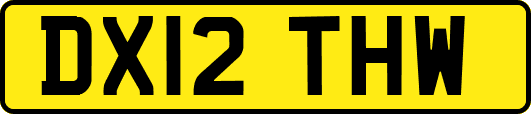 DX12THW