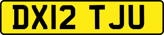 DX12TJU