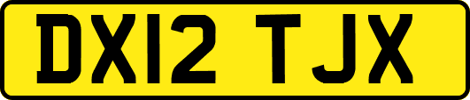 DX12TJX