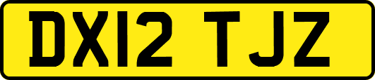 DX12TJZ