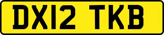 DX12TKB