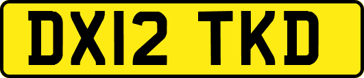 DX12TKD