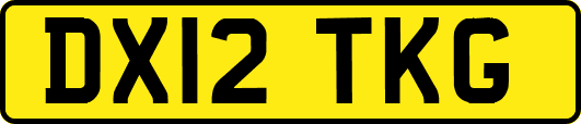 DX12TKG