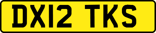 DX12TKS