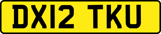 DX12TKU