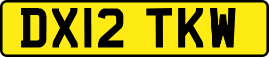 DX12TKW