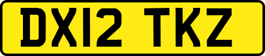 DX12TKZ