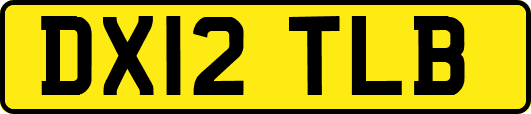 DX12TLB