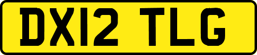 DX12TLG