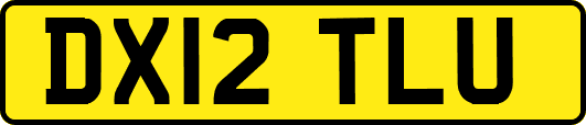 DX12TLU