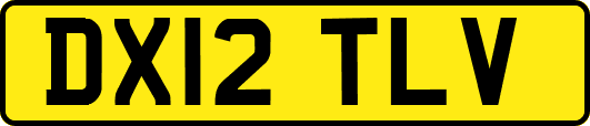 DX12TLV