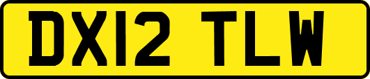 DX12TLW