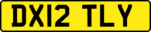 DX12TLY