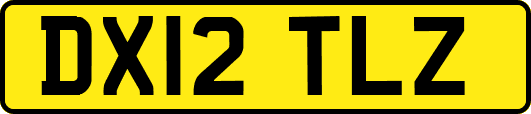 DX12TLZ