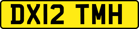 DX12TMH