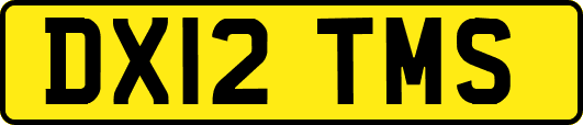 DX12TMS
