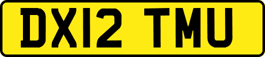 DX12TMU