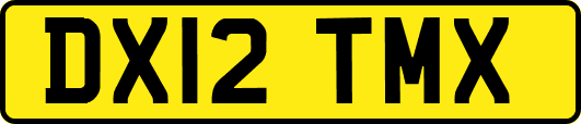 DX12TMX