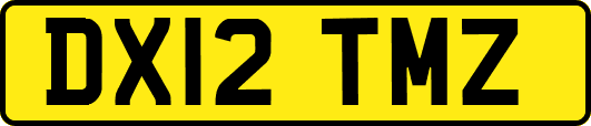 DX12TMZ
