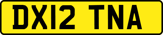 DX12TNA