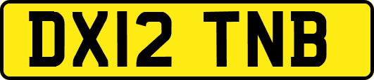 DX12TNB