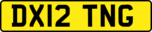 DX12TNG
