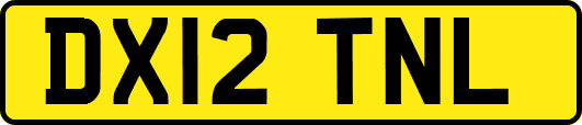 DX12TNL
