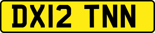 DX12TNN