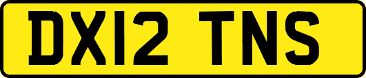DX12TNS