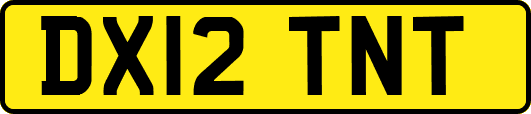 DX12TNT