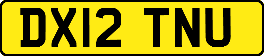 DX12TNU