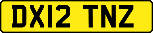 DX12TNZ