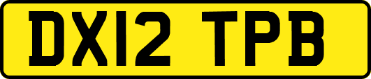 DX12TPB