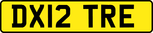 DX12TRE