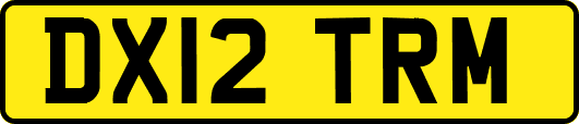DX12TRM