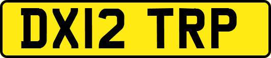 DX12TRP