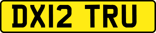 DX12TRU