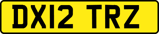 DX12TRZ