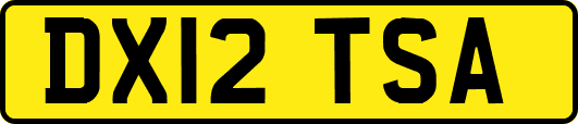 DX12TSA