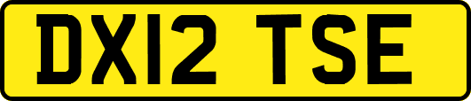 DX12TSE