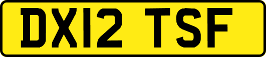 DX12TSF