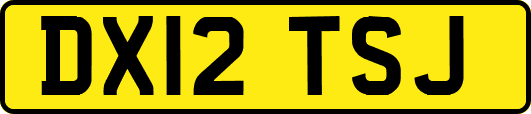 DX12TSJ