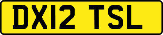 DX12TSL