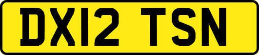 DX12TSN
