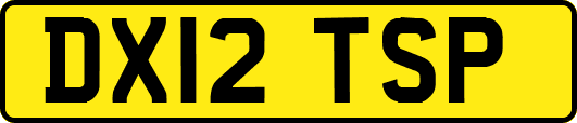 DX12TSP