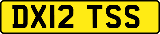 DX12TSS