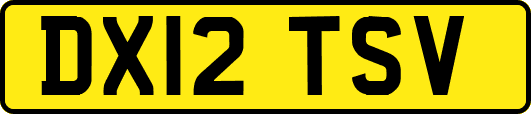 DX12TSV
